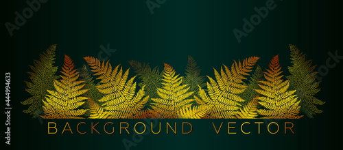 Gold fern leaves background vector. Wallpaper design with line art texture of fern leaves, jungle, exotic botanical floral pattern. Design for prints, banner, wall