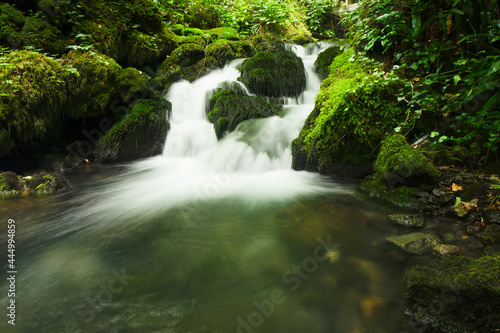 waterfall in the forest. Vadu Crisului, Bihor, Romania