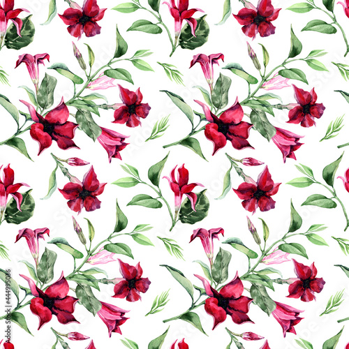 Seamless summer pattern with red blooming flowers and buds on branches with green leaves. Hand drawn watercolor painting on white background for textile  packaging  wallpaper  fabric  scrapbooking.