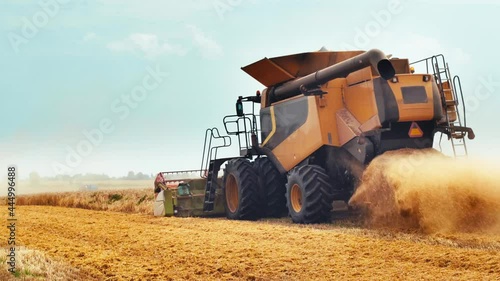 Wheat harvesting on field in summer season. Wide chaff spreading by combine harvester with rotor separation. Process of gathering crop by agricultural machinery: cuts and threshes ripe wheat grain