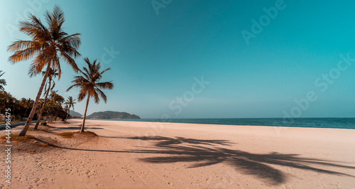 Fototapeta Naklejka Na Ścianę i Meble -  Tropical widescreen image of Khor Fakkan beach with palm trees, blue sky and sand in the United Arab Emirates