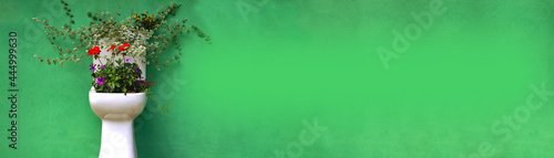 Wallpaper Mural Horizontal green banner with flowers. Flowers grow from a white toilet bowl Torontodigital.ca
