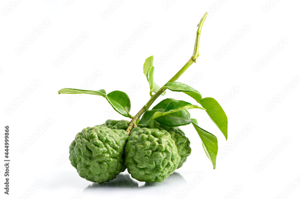 Bunch of bergamot fruit and leaf isolate on white background Bunch of bergamot fruit and leaf isolate on white background