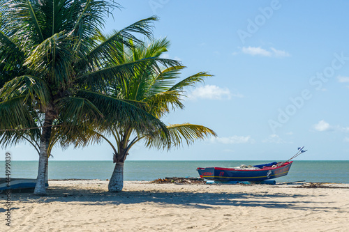 Fototapeta Naklejka Na Ścianę i Meble -  Coconut trees and boat on Lucena beach, near Joao Pessoa, Paraiba, Brazil on May 16, 2021.