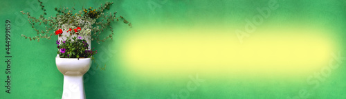 Wallpaper Mural Horizontal green banner with flowers. Flowers grow from a white toilet bowl Torontodigital.ca