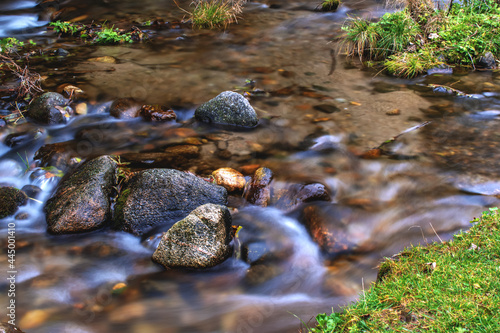 Wallpaper Mural A stream flows among a beautiful autumn forest. Torontodigital.ca