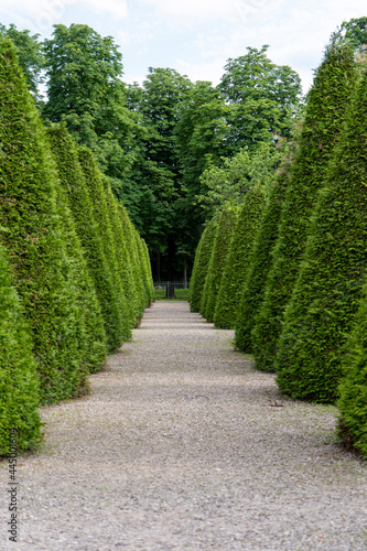 path in the garden