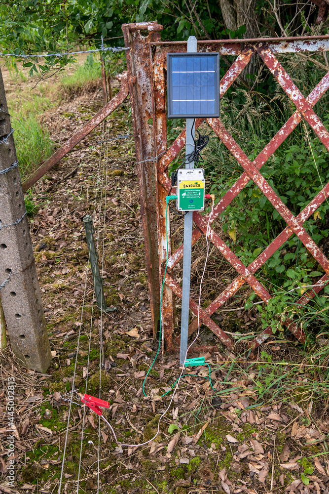 Pose et entretien de clotures électriques contre les sangliers autour d — free download