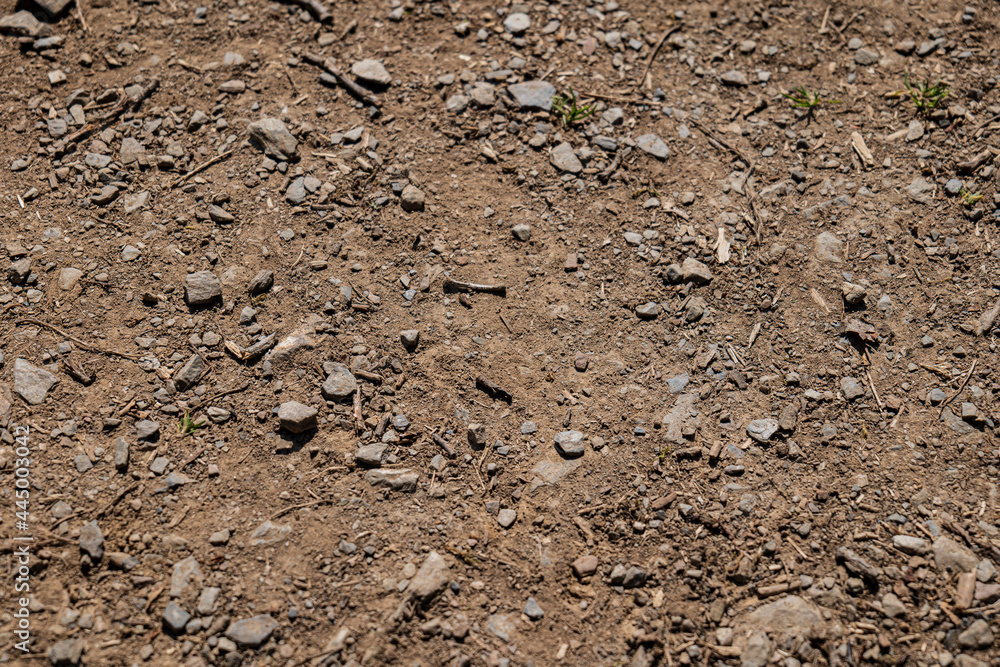 stone and soil in the ground stone and soil in the ground