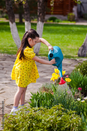 a beautiful child waters flowers from a blue watering can in the garden, helps parents take care of plants, a young gardener on a farm on a bright sunny day. 