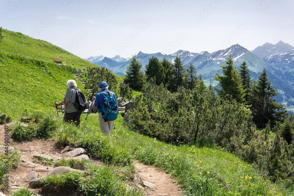 An active elderly couple (no faces visible) with backpacks and special sticks are hiking in the mountains and enjoying beautiful views of the Alps. Retirement healthy and active lifestyle concept. An active elderly couple (no faces visible) with backpacks and special sticks are hiking in the mountains and enjoying beautiful views of the Alps. Retirement healthy and active lifestyle concept.