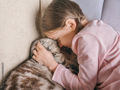 Adorable, cute, smiling girl hugging Scottish gray cat on the sofa at home. Pets, friendship, home, happiness concept 