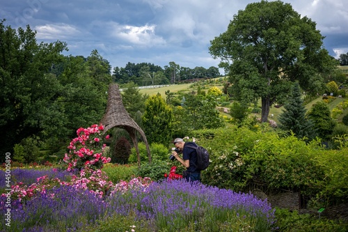 A man with a camera, photographing flowers in a garden. 
