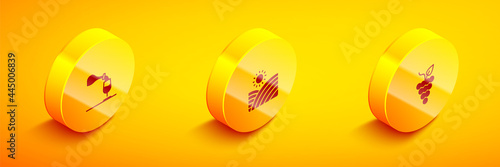 Set Isometric Wine tasting, degustation, Vineyard wine grapes and Bunch of icon. Vector