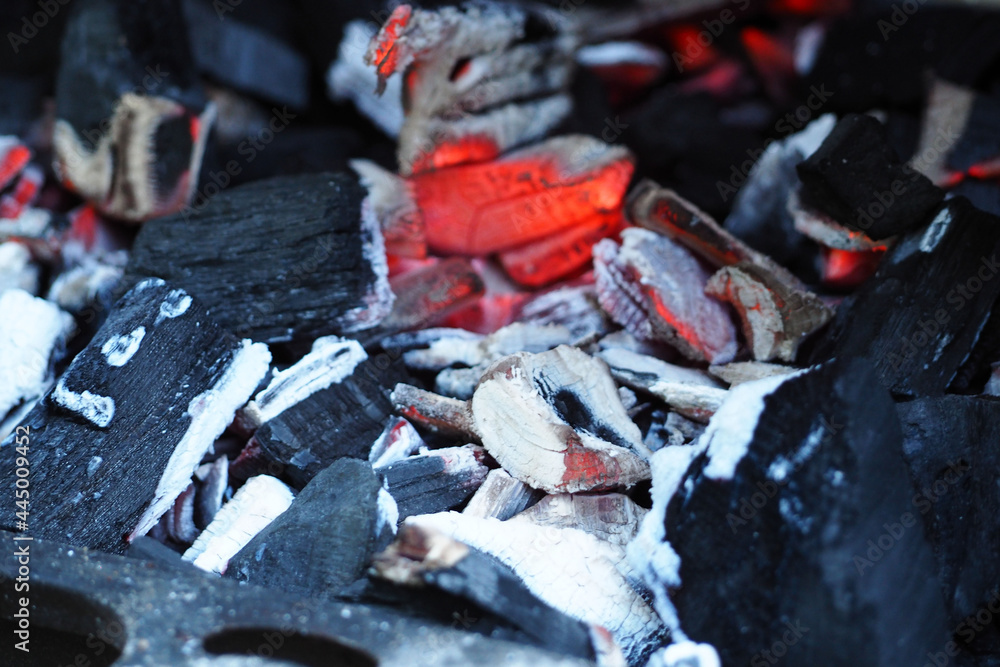 smoldering logs in the fire . side view smoldering logs in the fire . side view