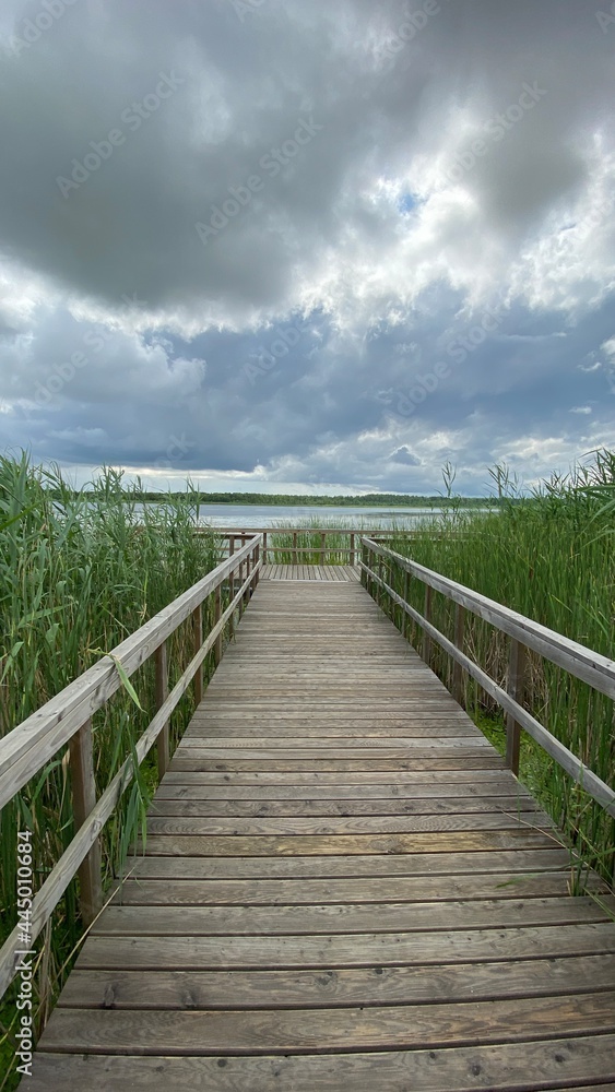 Wooden footbridge in the park near Wlodawa