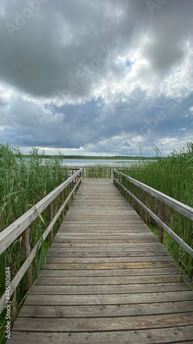 Wooden footbridge in the park near Wlodawa