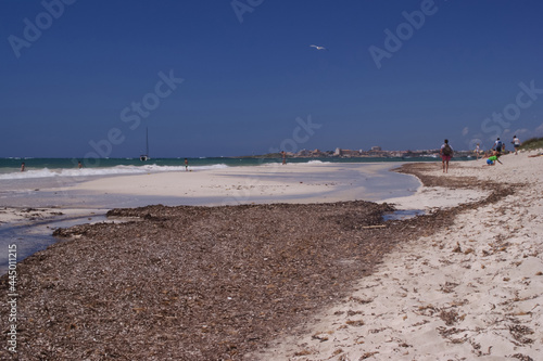 Φωτογραφία Aerial shot of a lakeshore during the daytime