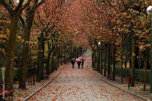 otoño en parque de la ciudad con paseantes © planeta11