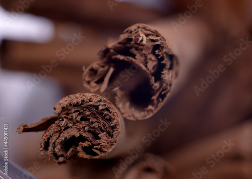 cinnamon in macro photography 