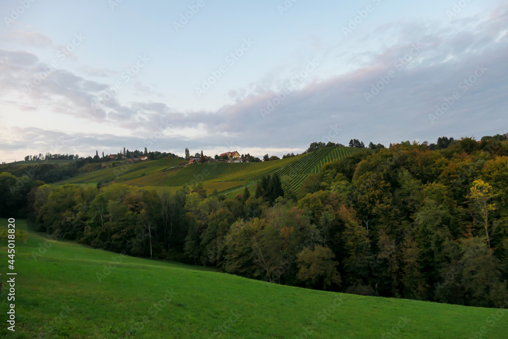 A panoramic view on a lush wine region in South Styria, Austria. There is a dense forest in front and a vast pasture in front of it. A bit of overcast. The sun is setting behind the hills. Serenity A panoramic view on a lush wine region in South Styria, Austria. There is a dense forest in front and a vast pasture in front of it. A bit of overcast. The sun is setting behind the hills. Serenity