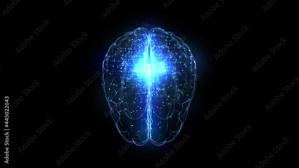 Artificial Intelligence. The brain of a cyborg. Human brain in the future. Information is distributed in the human brain. Training the artificial mind. The digital mind.