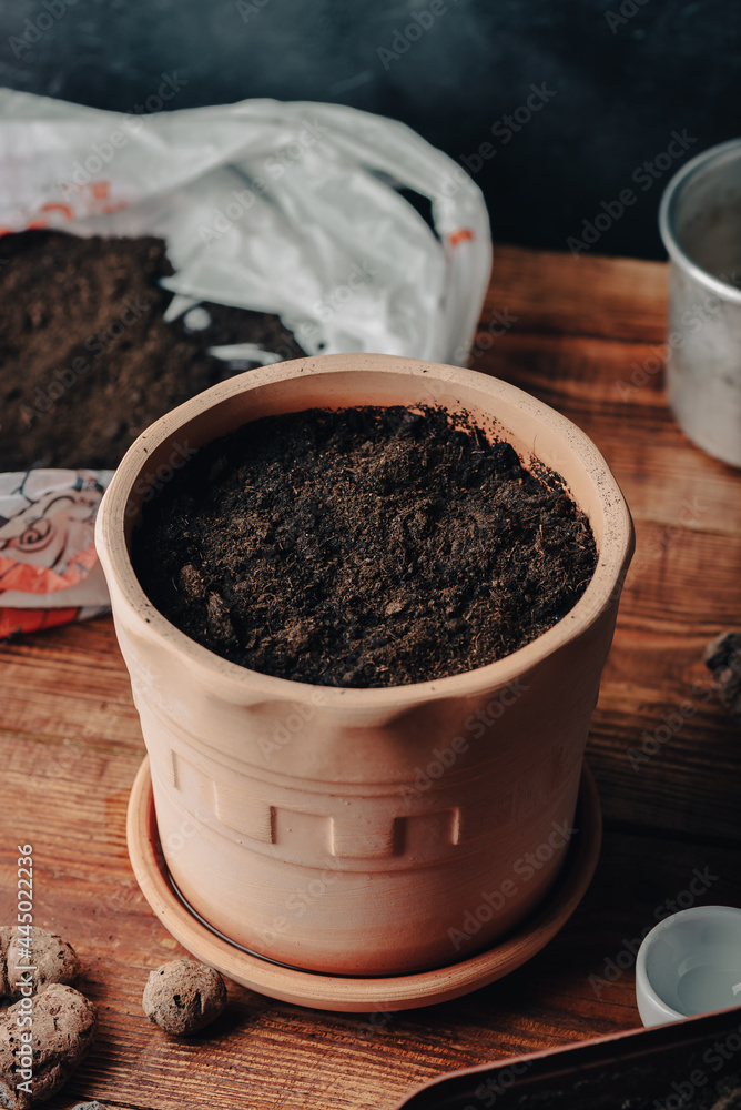 Clay Pot Full of Soil and Sowed Seeds of Thyme Clay Pot Full of Soil and Sowed Seeds of Thyme