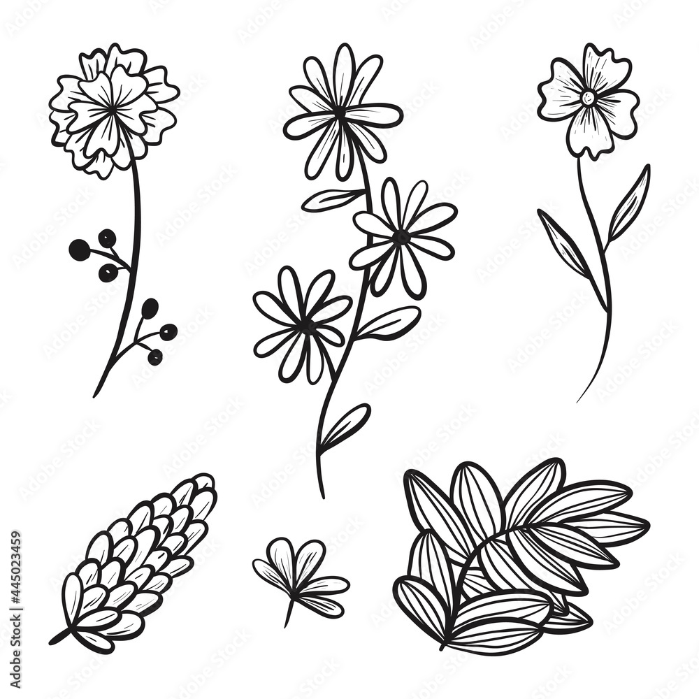 Set of vector doodle icons. Collection of design elements, branches and twigs with leaves, flower buds and petals.