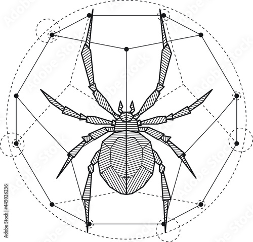 Mystic Spider Geometric Drawing Tattoo or Logo. Blackwork Art.