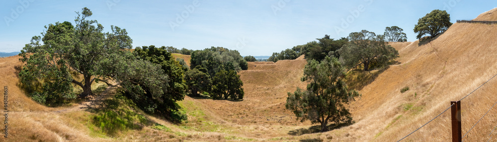 Panoramic view of crater at One Tree Hill in Auckland Panoramic view of crater at One Tree Hill in Auckland