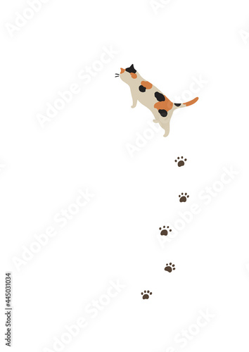 歩く猫のイラスト-三毛猫