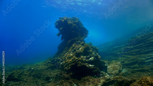 Fototapeta Naklejka Na Ścianę i Meble -  Underwater rock.