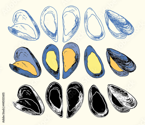 vector mussels of yellow color with a gray shell. a hand-drawn sketch - style set of sea food mussels, an isolated blue contour and a black silhouette with a color pattern for a design template, packa