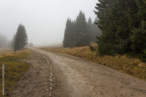 Chocholowska Valley on a misty spring day  Tatra Mountains  Poland.