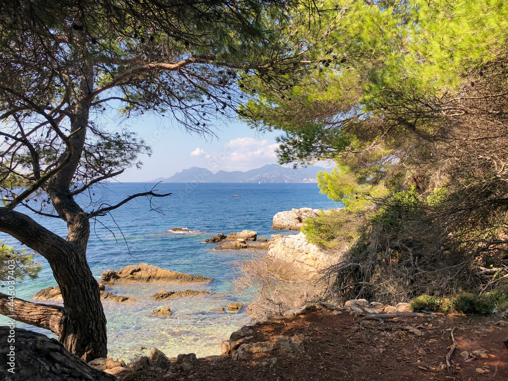 Island Sainte-Marguerite, Cannes, France - stock photo Island Sainte-Marguerite, Cannes, France - stock photo