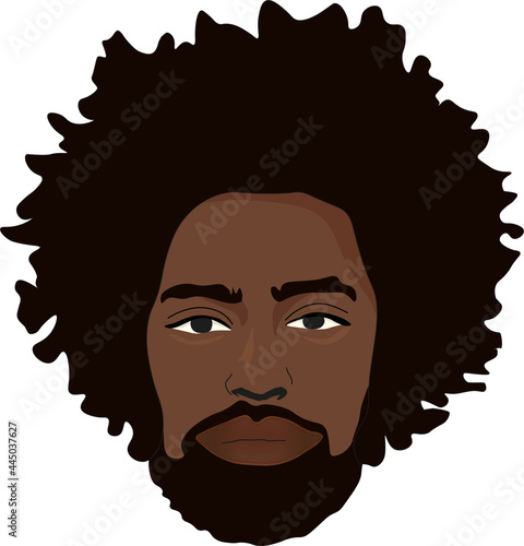 Afro-American, afrohaircut, a black man, a man, haircut, a beard