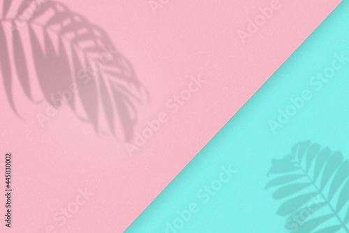 Shadow of leaves from window. Shadow palm leaf isolated on transparent background for effect overlay. Shade tropic plant for design prints. Sun light. Reflected on wall. Shading on mockup. Vector