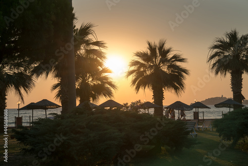 Beautiful orange sunset through the palm trees.