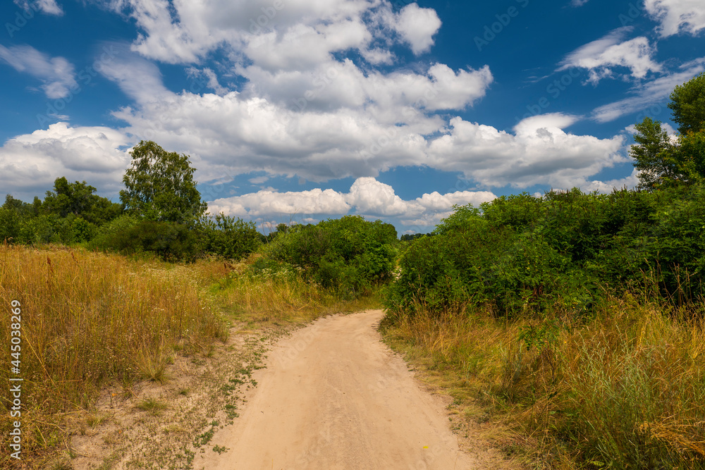 Sand road between green bushes. Large white clouds in the blue sky. Summer landscape