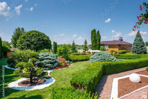 Beautiful backyard garden with nicely trimmed trees  bushes and stones.