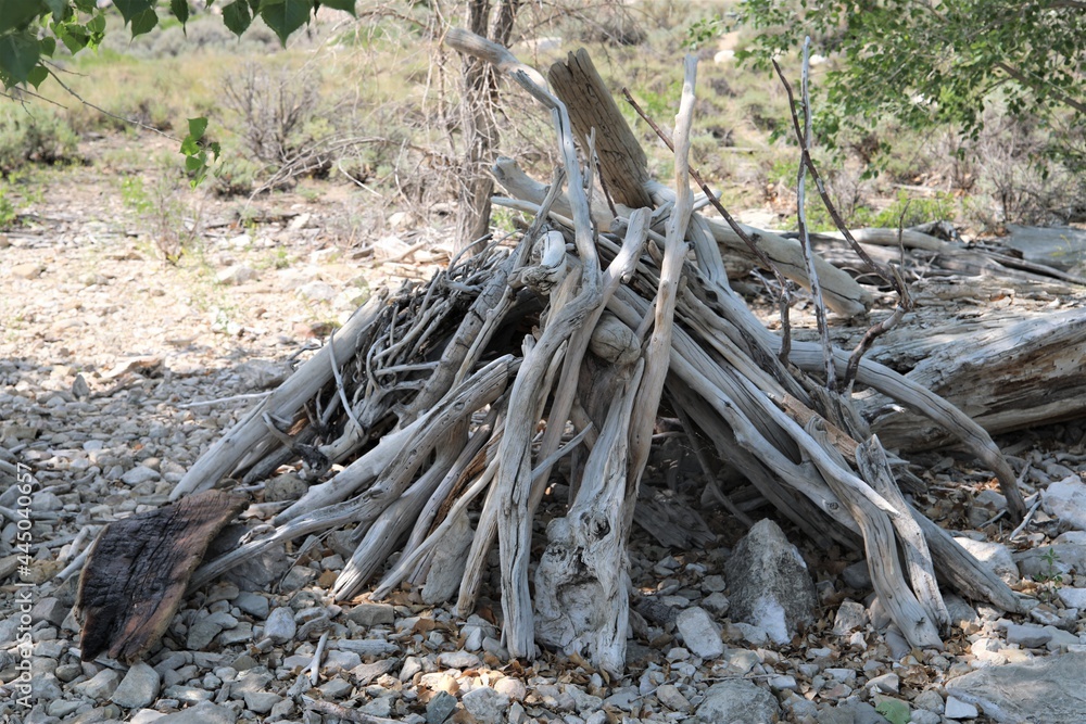 A Driftwood Structure on the Beach of the Buffalo Bill Reservoir A Driftwood Structure on the Beach of the Buffalo Bill Reservoir