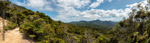 Great landscape of Great Barrier Island's highland