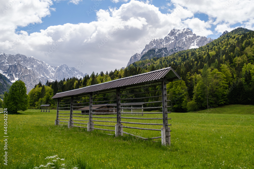 Hay rack on blooming grass near Planica