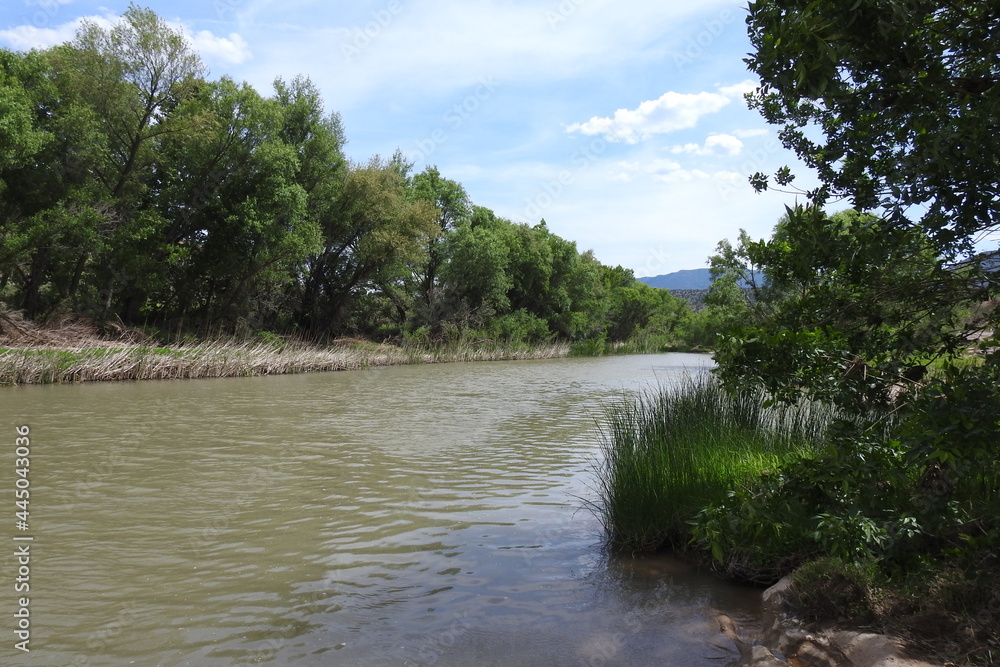 The beautiful scenery of the Verde River, Camp Verde, Yavapai County, Arizona.