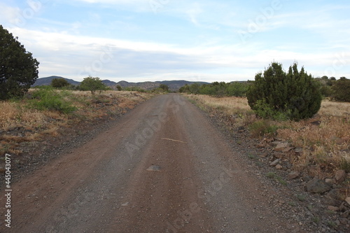 A western diamondback rattlesnake slithering across a scenic dirt road that travels along the Mogollon Rim, in the Coconino National Forest, Arizona.  © Scenic Corner