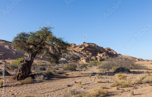 Namib-Naukluft-Nationalpark bei Swakopmund, Namibia