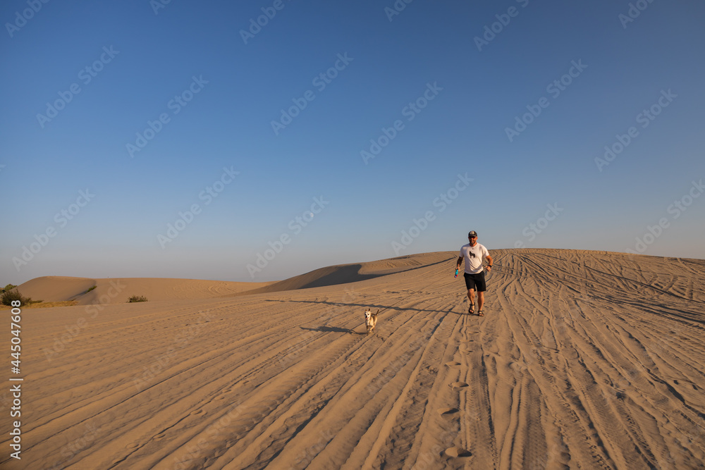 Obraz premium Man with small brown dog running on St. Anthony sand dunes, Idaho, USA