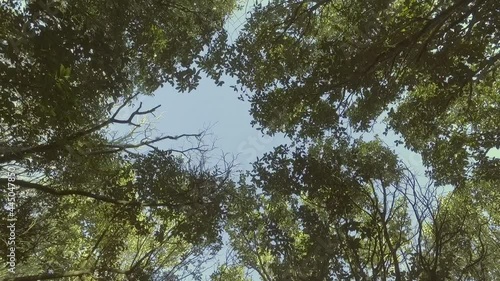 Bosque La Falda