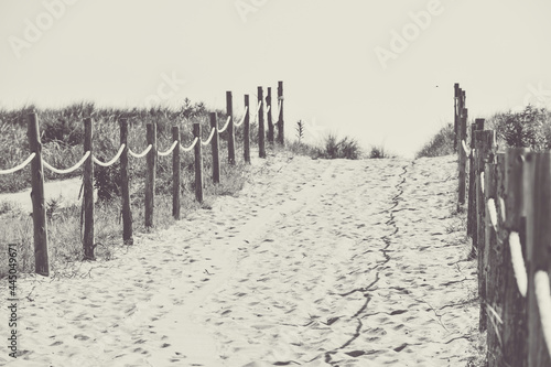 The Path to the Beach goes between the Dunes and is Covered in Sand and Bordered by Fences made of Wood and Rope