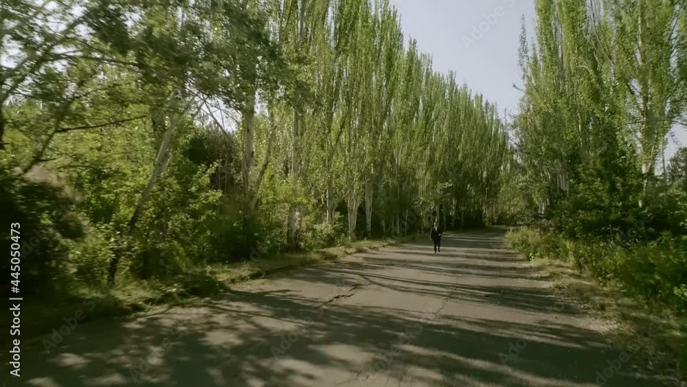Back rear view of Man in suit walking alone through the forest or garden trees . Lonely boy walks in footpath or sidewalk in the middle road of forest with big high green trees . Slow motion . Drone
Back rear view of Man in suit walking alone through the forest or garden trees . Lonely boy walks in footpath or sidewalk in the middle road of forest with big high green trees . Slow motion . Drone